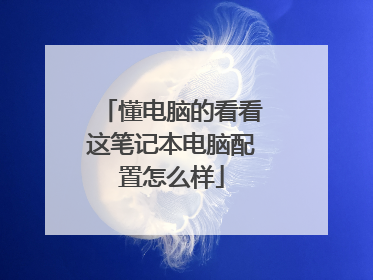 懂电脑的看看这笔记本电脑配置怎么样
