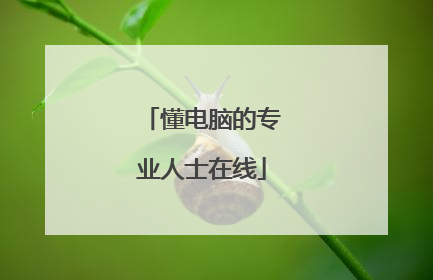 懂电脑的专业人士在线