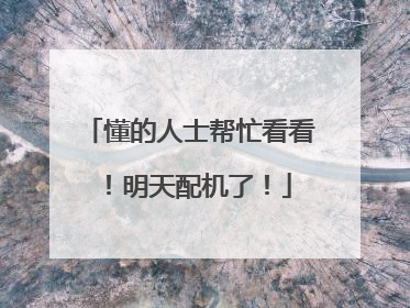 懂的人士帮忙看看!明天配机了!