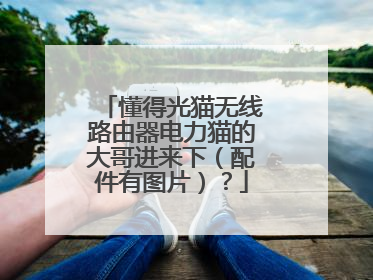 懂得光猫无线路由器电力猫的大哥进来下（配件有图片）？