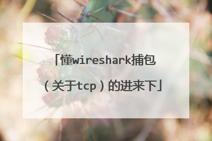 懂wireshark捕包（关于tcp）的进来下