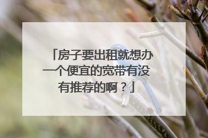 房子要出租就想办一个便宜的宽带有没有推荐的啊?