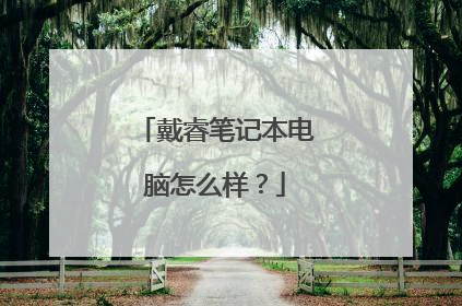 戴睿笔记本电脑怎么样?