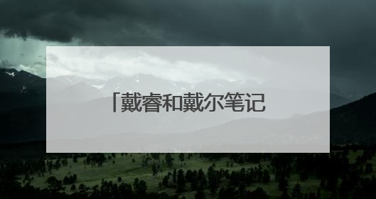 戴睿和戴尔笔记本电脑怎么样