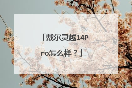 戴尔灵越14Pro怎么样?