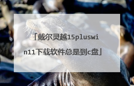 戴尔灵越15pluswin11下载软件总是到c盘