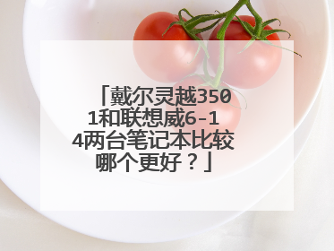 戴尔灵越3501和联想威6-14两台笔记本比较哪个更好?