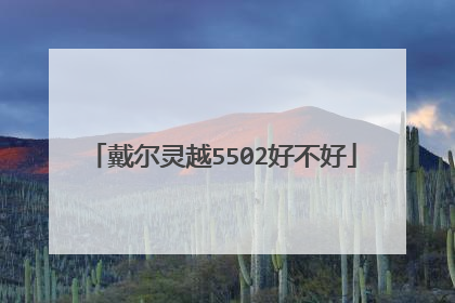 戴尔灵越5502好不好