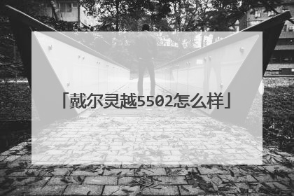 戴尔灵越5502怎么样