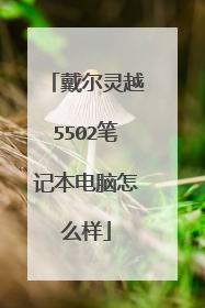 戴尔灵越5502笔记本电脑怎么样