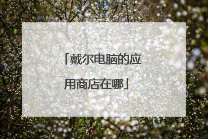 戴尔电脑的应用商店在哪