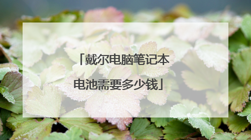 戴尔电脑笔记本电池需要多少钱