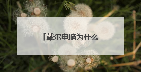戴尔电脑为什么突然没声音了？