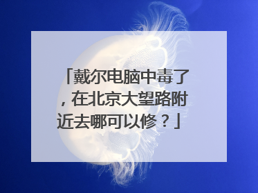 戴尔电脑中毒了，在北京大望路附近去哪可以修？
