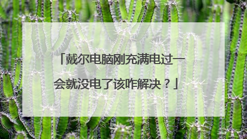 戴尔电脑刚充满电过一会就没电了该咋解决?