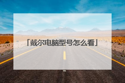 戴尔电脑型号怎么看