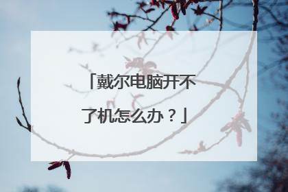 戴尔电脑开不了机怎么办？