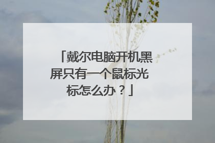 戴尔电脑开机黑屏只有一个鼠标光标怎么办？