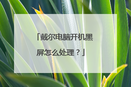 戴尔电脑开机黑屏怎么处理?