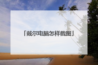 戴尔电脑怎样截图