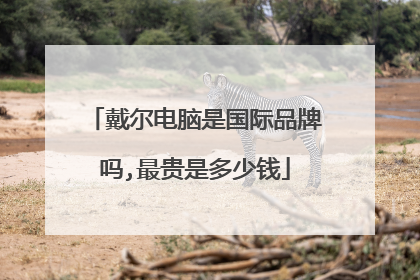 戴尔电脑是国际品牌吗,最贵是多少钱