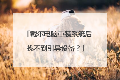 戴尔电脑重装系统后找不到引导设备?