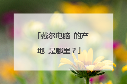 戴尔电脑 的产地 是哪里?