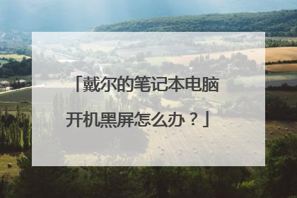 戴尔的笔记本电脑开机黑屏怎么办?
