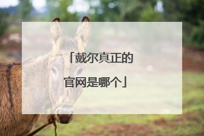 戴尔真正的官网是哪个