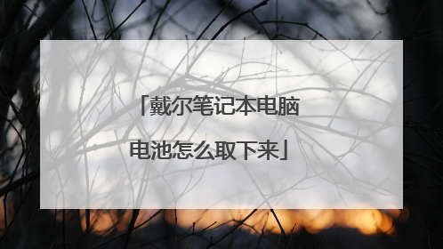 戴尔笔记本电脑电池怎么取下来