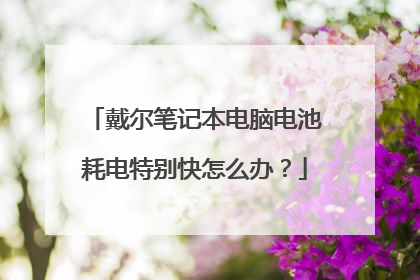 戴尔笔记本电脑电池耗电特别快怎么办?