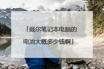 戴尔笔记本电脑的电池大概多少钱啊