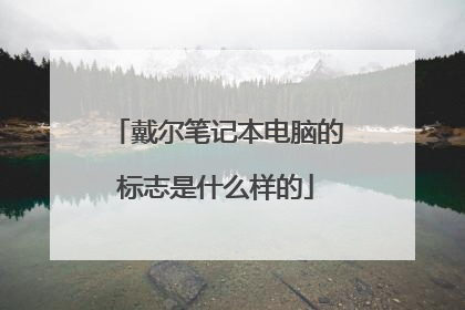 戴尔笔记本电脑的标志是什么样的