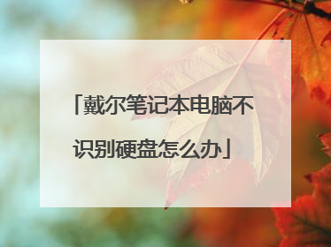 戴尔笔记本电脑不识别硬盘怎么办