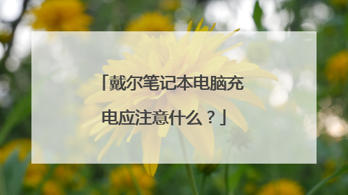 戴尔笔记本电脑充电应注意什么？