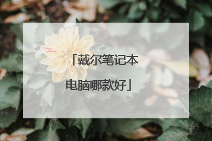 戴尔笔记本电脑哪款好