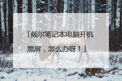 戴尔笔记本电脑开机黑屏,怎么办呀!