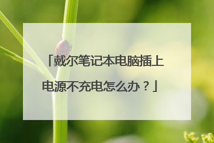 戴尔笔记本电脑插上电源不充电怎么办?