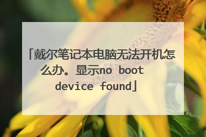 戴尔笔记本电脑无法开机怎么办。显示no boot device found