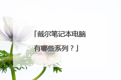 戴尔笔记本电脑有哪些系列?