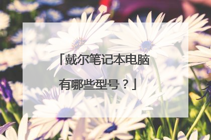 戴尔笔记本电脑有哪些型号?