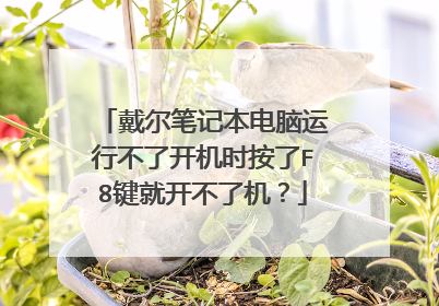 戴尔笔记本电脑运行不了开机时按了F8键就开不了机?