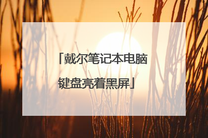 戴尔笔记本电脑键盘亮着黑屏