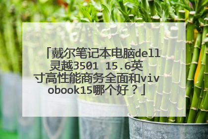 戴尔笔记本电脑dell灵越3501 15.6英寸高性能商务全面和vivobook15哪个好？