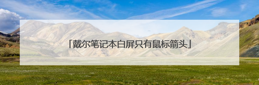 戴尔笔记本白屏只有鼠标箭头