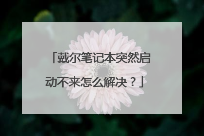 戴尔笔记本突然启动不来怎么解决?