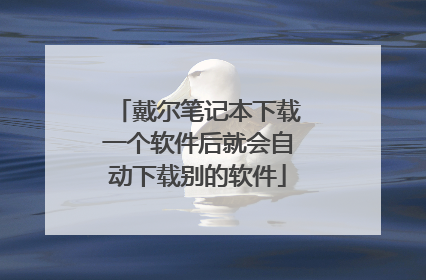 戴尔笔记本下载一个软件后就会自动下载别的软件