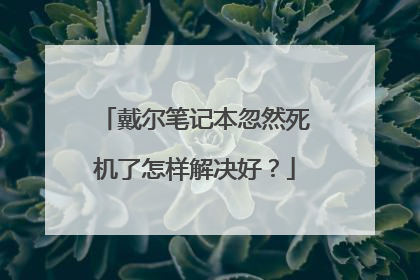 戴尔笔记本忽然死机了怎样解决好?