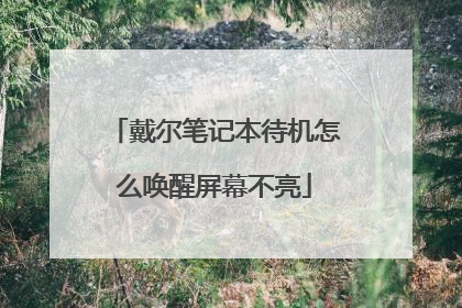 戴尔笔记本待机怎么唤醒屏幕不亮