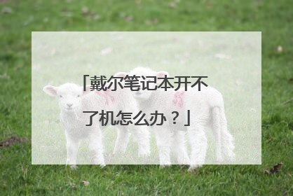 戴尔笔记本开不了机怎么办？